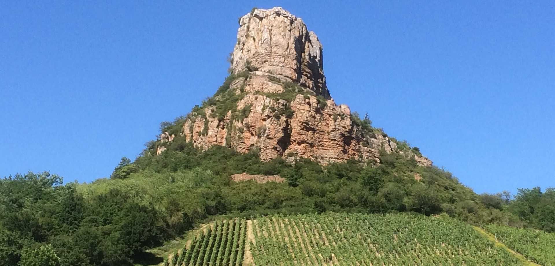Vins de la Bourgogne Sud - Journée complète